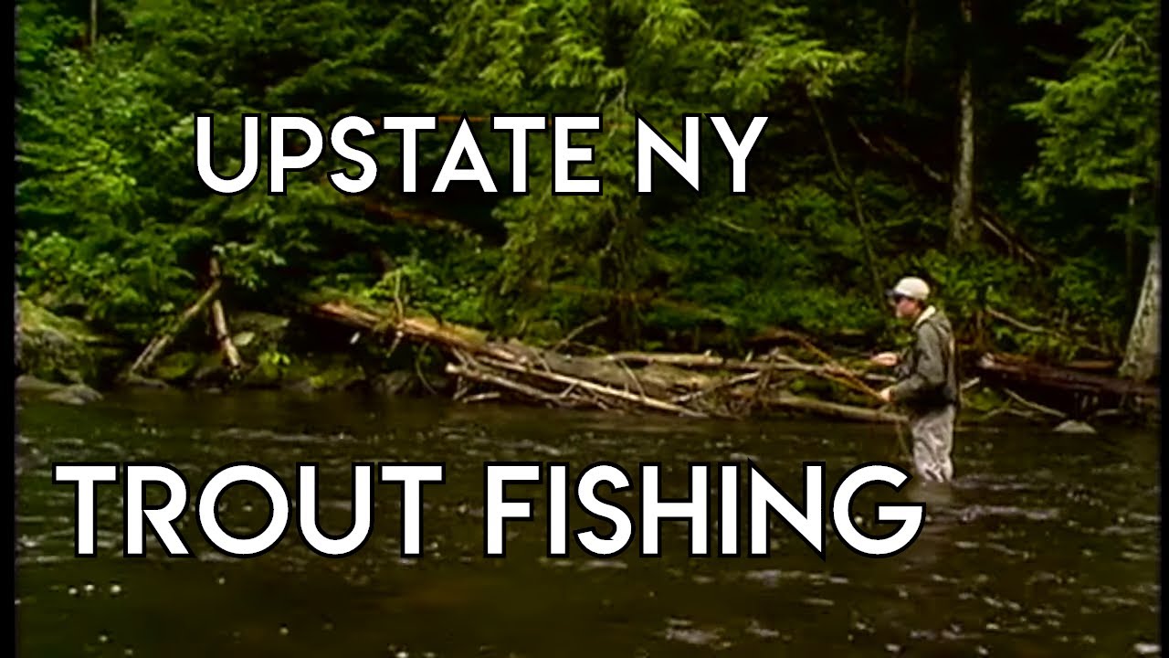 River Trout Fishing Upstate New York YouTube