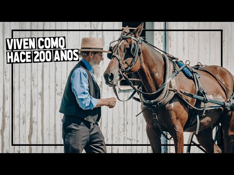 Video: Una guía completa del país Amish de Ohio