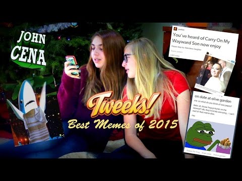 tweeks:-best-memes-of-2015