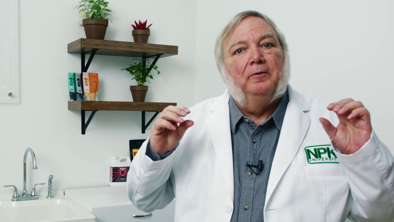 Harley Smith w/ Today's Product: RAW Kelp