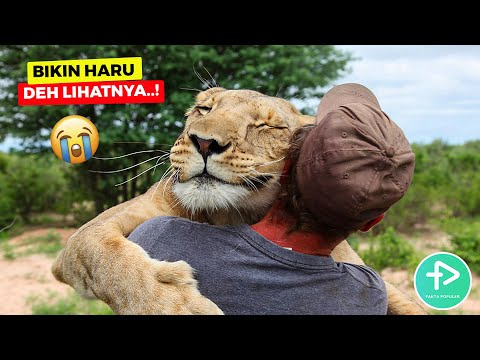 Video: Haiwan Mana Yang Paling Dekat Dengan Manusia