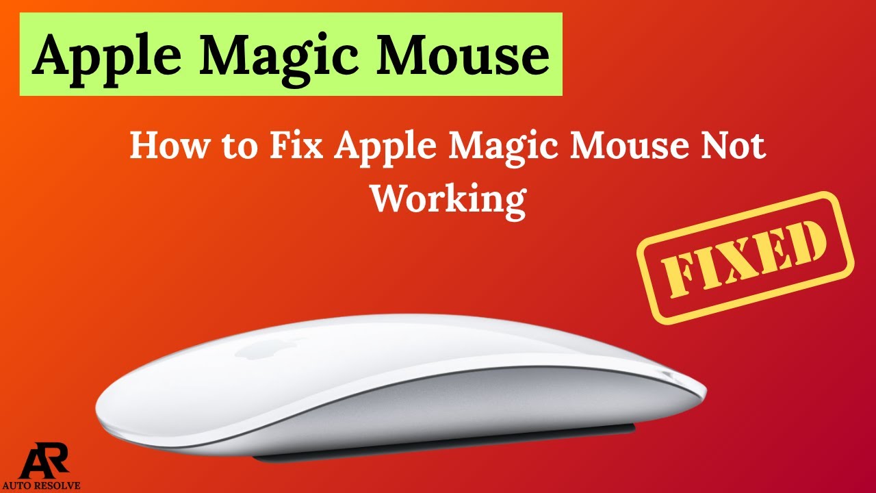 How to Fix Apple Magic Mouse Not Working - YouTube
