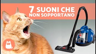 7 SUONI che I GATTI ODIANO di più❌ Non li sopportano!