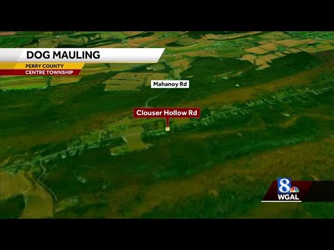 Woman mauled to death by neighbor's dogs in Perry County