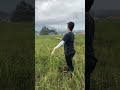 Mari kita bermain layang layang #kotabatu #layangan #kite #layanganputus #2026