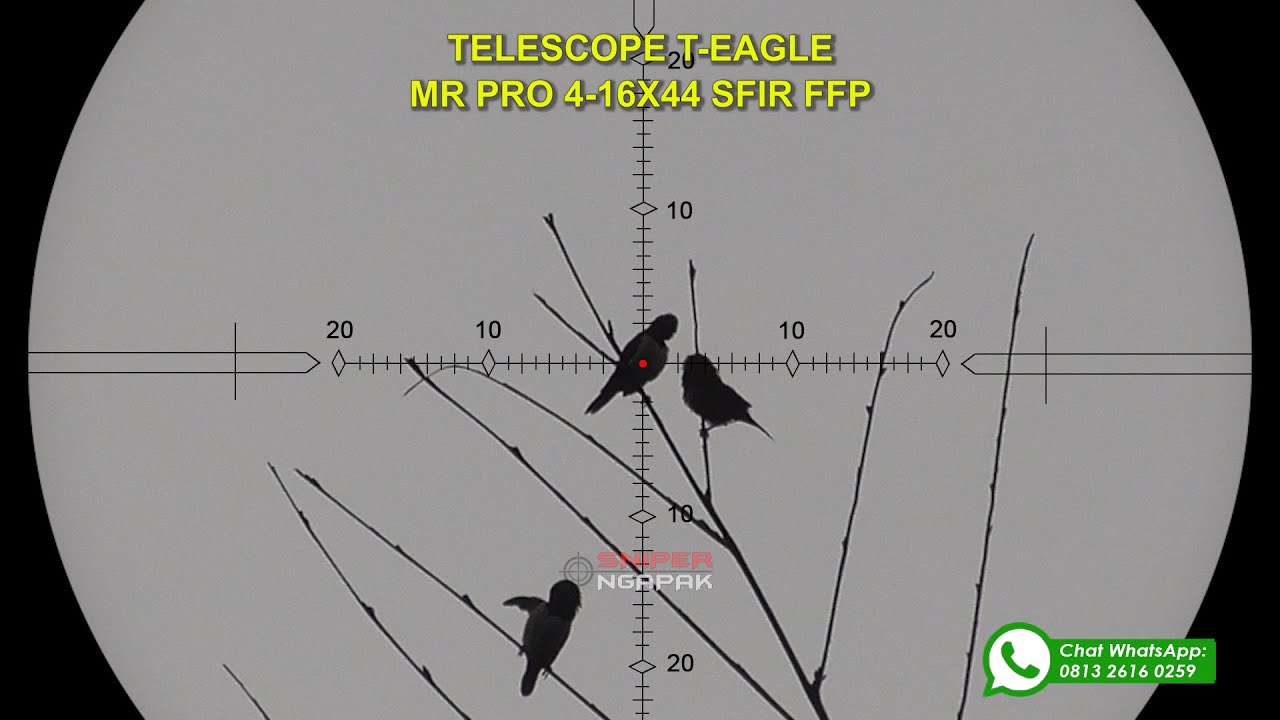COCOK BUAT HUNTING LONG RANGE - TELESCOPE TEAGLE MR PRO 4-16X44 SFIR ...
