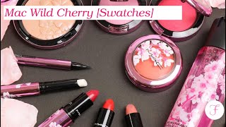 Mac Wild Cherry Primavera 2022 - Swatches