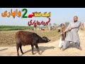 Eid Wala  Katta vs Dou Wapari | Number Daar | Airport | Helmet | New Punjabi Comedy | Funny Video |