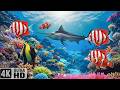 The Best 4K Aquarium - Explore the Stunning World of Sea Jellyfish &amp; Beautiful Coral Reef Fish #2