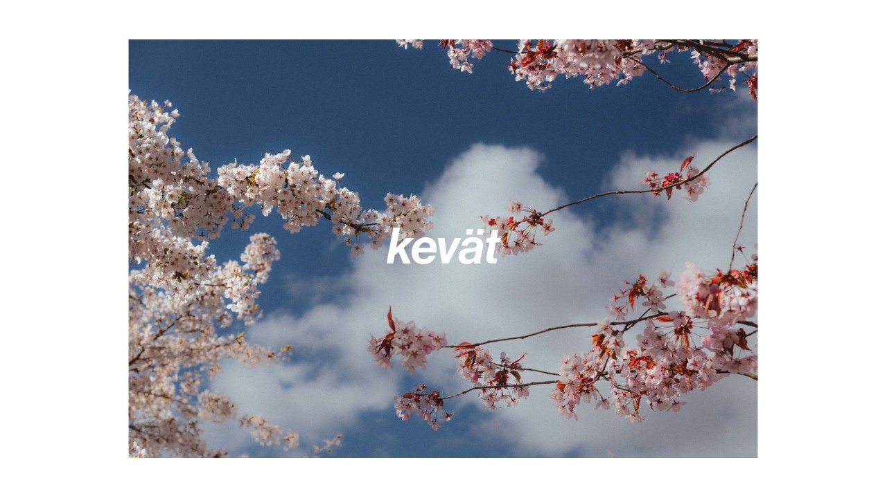 POV Katukuvaus: Turku Keväällä – Skuuttailua ja Kaupunkitunnelmaa