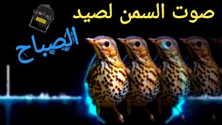 صوت السمن لصيد الصباح 2023