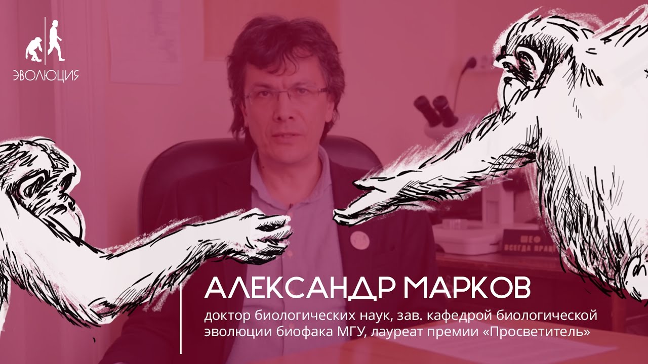 Александр Марков о фонде «Эволюция»