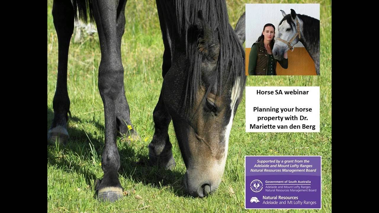Planning your horse property with Dr Mariette van den Berg horsecare
