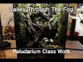 Valley Through The Fog | Paludarium Class Work 안개 속의 계곡 | 팔루다리움 클래스 작품 | Indoor Jungle 실내 속 정글