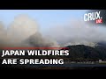 LIVE | Wildfires Scorch Over 460 Hectares In Japan, Mass Evacuations On As Firefighters Battle Blaze