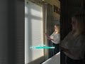 Hunter Douglas Duette Shades | Smart Style for PNW Homes