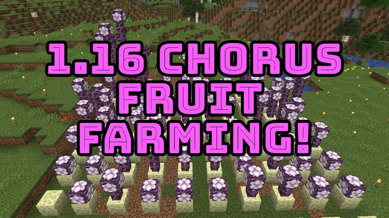 Minecraft: 1.16 Chorus Fruit Farm & starting the MEGA BASE