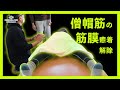 【筋膜グリップ】筋膜癒着解除がわかる新しいルーティンの導入【整体スクール】