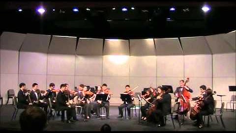 Little Suite for Strings Op. 1 - Nielsen