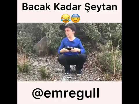 Bacak kadar hırsız