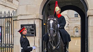 PICKPOCKETED in front of the King's Guard on a busy Horse Guards morning!