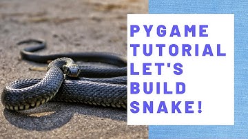 Pygame Tutorial - Let