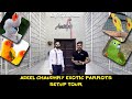 Beautiful Exotic Parrots Setup Visit | @Adeel Ch Aviary | PBI Official