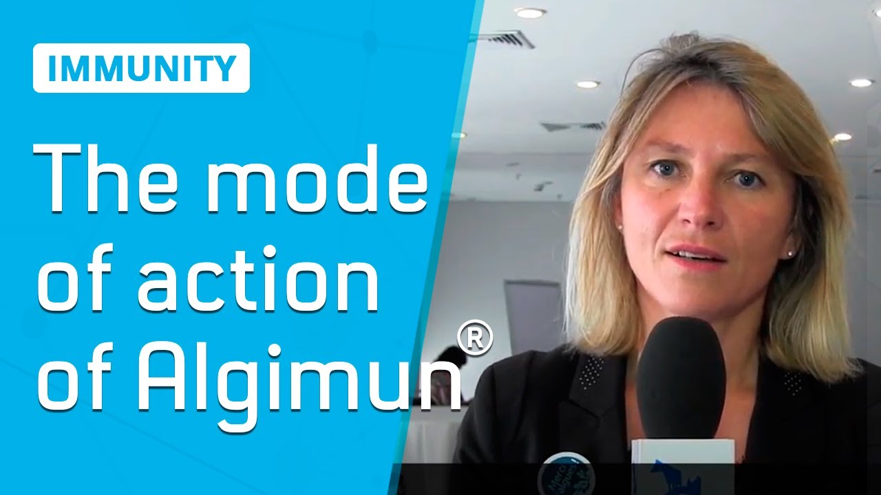 🔵IMMUNITY | The potential of Algimun®
