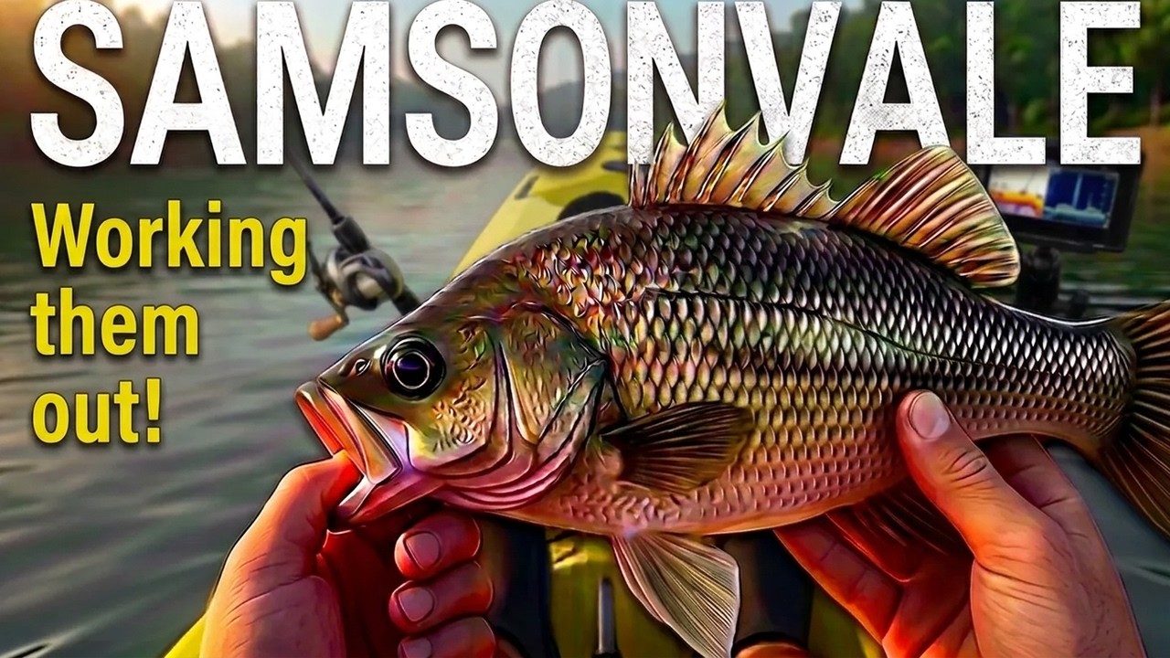 Lake Samsonvale – working them out!