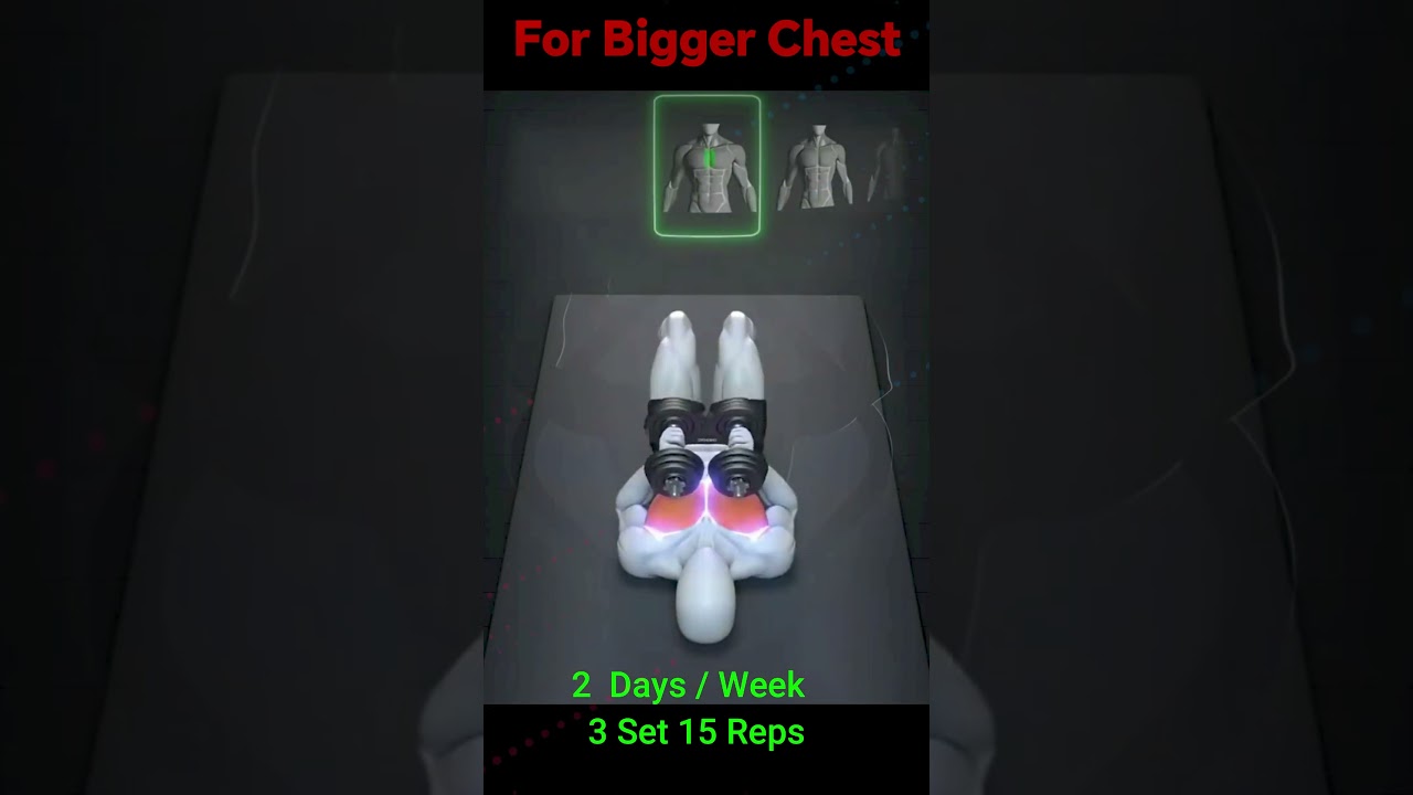 Chest Day Is The Best Day II Chest Exercise II For Bigger Chest