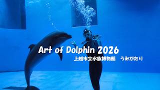 水中ドルフィンパフォーマンス - Art Of Dolphin 2026 - 上越市水族館うみがたり2026.2.13