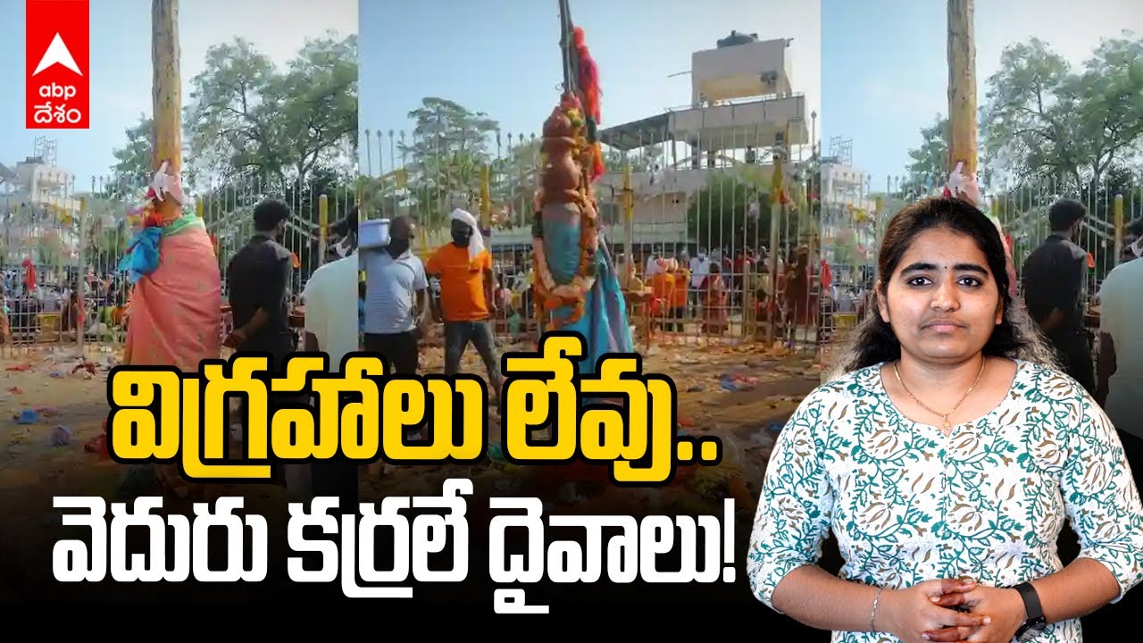 Bamboo Sticks are Idols in Medaram Jatara | వెదురు కర్రలే ఉత్సవ మూర్తులుగా ఎందుకు ? | ABP Desam