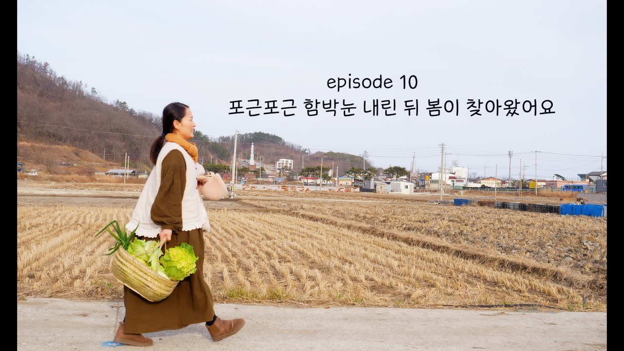 추억 열 장ㅣ포근포근 함박눈과 함께 찾아온 따뜻한 봄 한 조각 I 고소한 검은깨강정과 시원한 배추 손칼국수//snow&spring