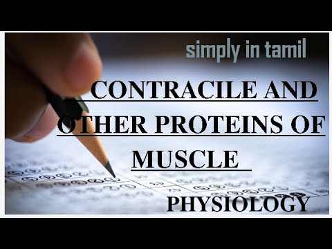 Contractile and other proteins of muscle | Explanation in Tamil | Sukumiii NBCOT USA