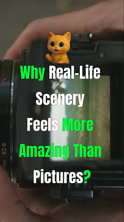 Why Real Life Scenery Feels More Amazing Than Pictures? #facts #picture #korea #science #amazing