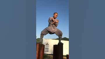 Kung Fu Monk Performing ｜Shaolin Kung Fu