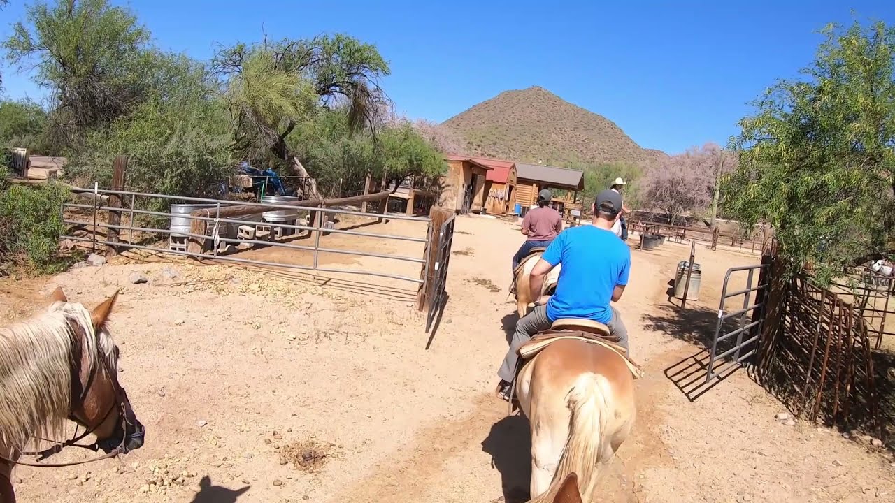 Horseback Riding-Saguaro Lake Ranch Stables next to Salt River May 2021