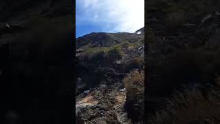 Volcán Chillán,Chile #chillanchile #volcan #volcano #viralshorts #viralvideos #viralshort #viralnews