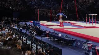 Antonios TANTALIDIS (GRE) - Pommel Horse final - Internationaux de France