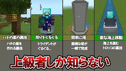マイクラ 上級者技