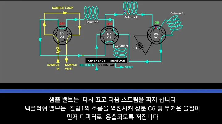 GAS Chromatograph 원리 animation