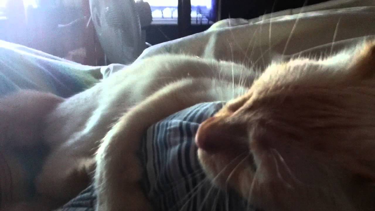 Menyce being a menace.