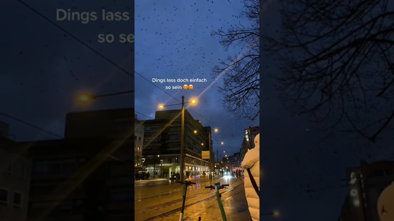 Wenn alles was du denkst so basiert 🤩