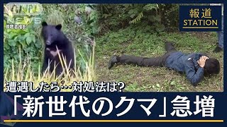 東京・町田や“絶滅”伊豆でも出没…“過去最悪”クマ襲撃　もし遭遇したら…対処法(2023年10月23日)