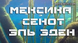 Сенот Эден| Достопримечательности Мексики(Сенот Эден это природная достопримечательность Мексики. Сенот Эден находится на полуострове Юкатан, не..., 2015-01-07T06:46:08.000Z)