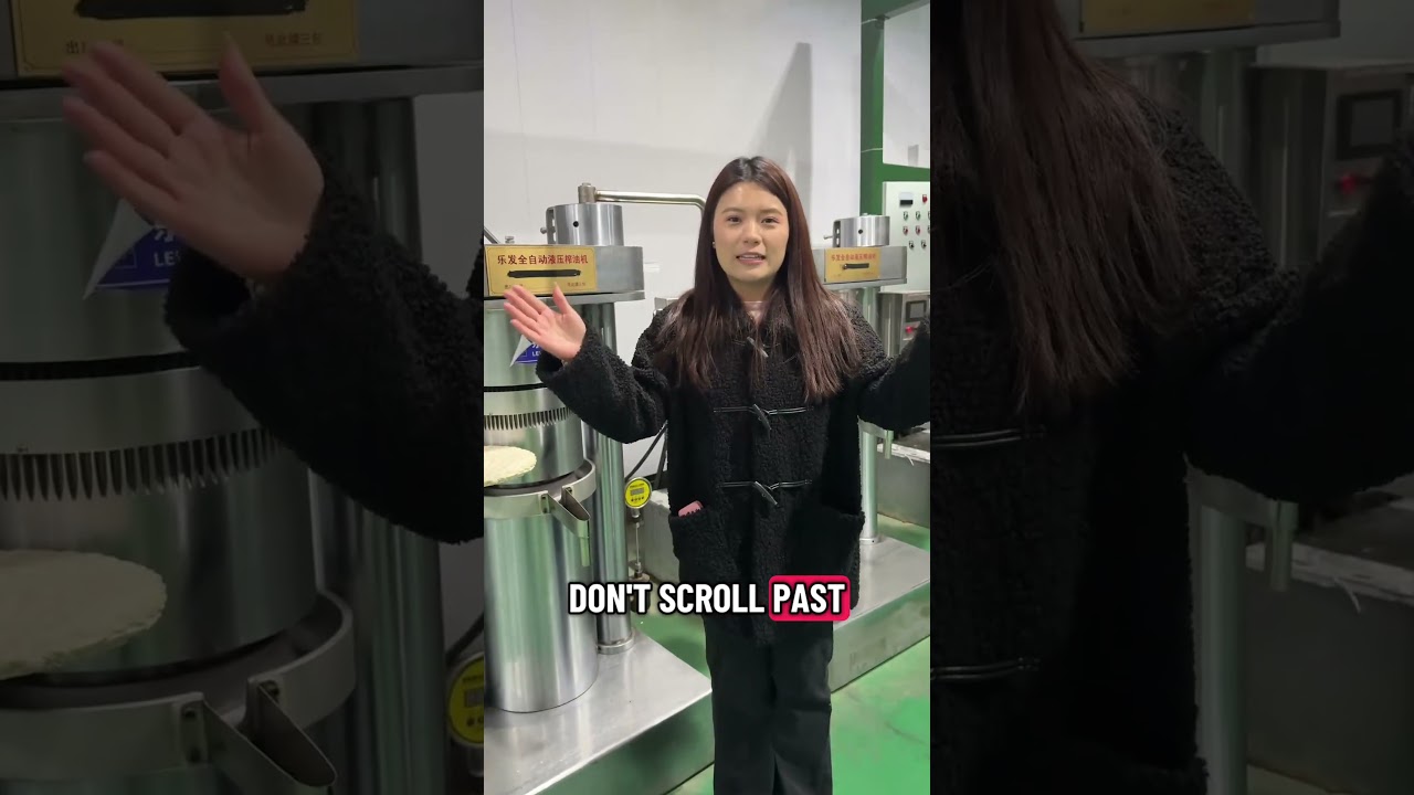 Lewin Hydraulic oil press machine manufacturer. 