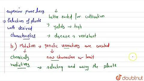 What is plant breeding explain the two steps involved in classical plant breeding? (2023)