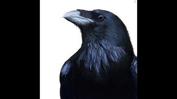 IM BACK! Tea in Blender FACE REVEAL Return and Making Crow Asset