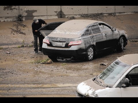 Авто из США от 7motors. Дилемма - отправить или распилить. Какие бывают утопленники.Смотреть всем!!!