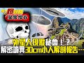 外星人現蹤秘魯！？解密庫斯科詭異30cm小人解剖報告…- 江中博【57爆新聞 萬象搜奇】